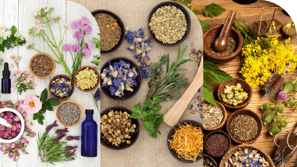 WE OFFER THIRD PARTY CONTRACT MANUFACTURING SERVICES FOR HERBAL & AYURVEDIC PRODUCTS ALL ACROSS HEALTH & PERSONAL CARE DATEGORIES (1)